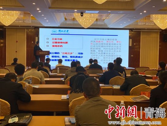 圖為論壇現(xiàn)場。李江寧攝